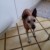 Avatar fosco