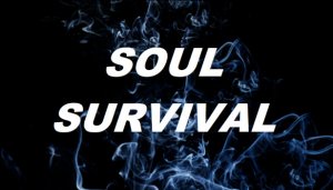 Cover Soul Survival