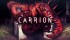Cover Carrion per PC