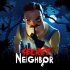 Cover Secret Neighbor