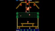 Immagine Arcade Archives DONKEY KONG 3 (Nintendo Switch)