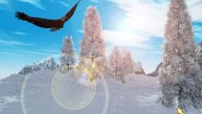 Immagine Holiday Bonus Gold (PC)