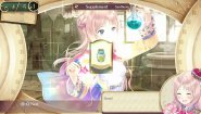 Immagine Atelier Meruru: The Apprentice of Arland DX (PC)