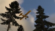 Immagine X-Plane 12 (Linux)