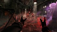 Immagine Enderal (PC)