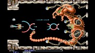Immagine R-Type Dimensions EX PC