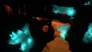 Immagine Polyball (Linux)
