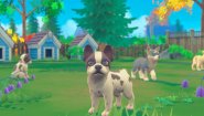 Immagine My Universe: Puppies and Kittens (Mac)