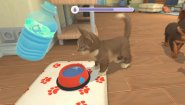 Immagine Immagine My Universe: Puppies and Kittens Mac