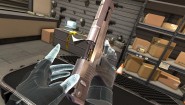 Immagine Immagine Gun Club VR PS4