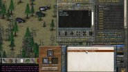 Immagine Eschalon: Book II (Linux)