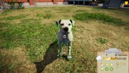 Immagine Animal Shelter (PC)