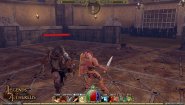 Immagine Legends of Aethereus (Linux)