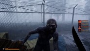 Immagine Immagine Mist Survival PC