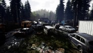 Immagine Immagine Mist Survival PC