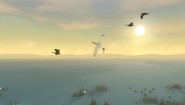 Immagine Storm Boy: The Game (PC)