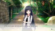 Immagine Immagine Reverse Memories Nintendo Switch