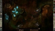 Immagine Immagine Icewind Dale: Enhanced Edition Linux