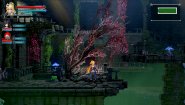 Immagine Frontier Hunter: Erza's Wheel of Fortune (PC)