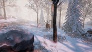 Immagine Bottle (PC)
