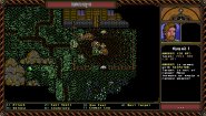 Immagine SKALD: Against the Black Priory (Mac)