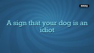 Immagine Immagine Quiplash 2 InterLASHional: The Say Anything Party Game! Xbox One