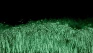 Immagine YOU ARE BEING FOLLOWED (PS4)