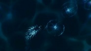 Immagine Sparkle ZERO (Nintendo Switch)