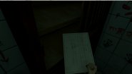 Immagine Immagine The Spirits Within PC
