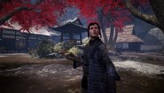 Immagine Arashi: Castles of Sin (PS4)