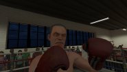 Immagine The Thrill of the Fight (PC)