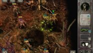 Immagine Immagine Call of Cthulhu: The Wasted Land PC