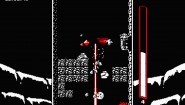 Immagine Downwell PC