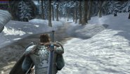 Immagine Immagine Ravensword: Shadowlands Linux