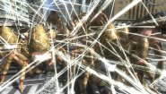 Immagine Immagine Earth Defense Force 4.1: The Shadow of New Despair PC