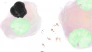 Immagine Guppy (Linux)