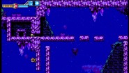 Immagine Blaster Master Zero 2 (Nintendo Switch)