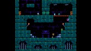 Immagine Micro Mages (NES)