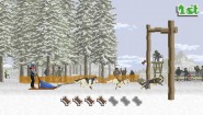 Immagine Dog Sled Saga (Mac)