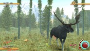Immagine Immagine Deer Drive Legends Nintendo Switch