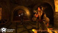 Immagine Immagine Pirates, Vikings, and Knights II PC