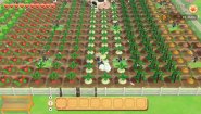 Immagine Story of Seasons: Pioneers of Olive Town Nintendo Switch