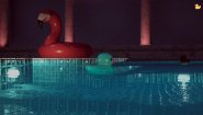 Immagine Immagine Placid Plastic Duck Simulator PC