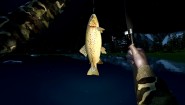 Immagine Immagine Ultimate Fishing Simulator Nintendo Switch