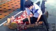 Immagine The Fruit of Grisaia (PC)