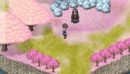 Immagine Immagine Island SAGA Linux