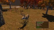Immagine Immagine Cabela's: The Hunt - Championship Edition Nintendo Switch