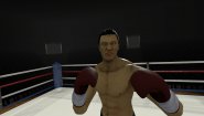 Immagine The Thrill of the Fight (PC)