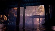 Immagine The Fabled Woods (PC)