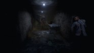 Immagine Roots of Insanity (PC)